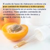 Aceite Puro de Hueso de Chabacano Albaricoque Hebbe Cosmetics 1L