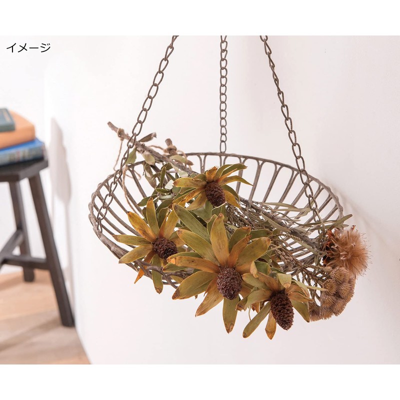 Hanging Wire Tray S 62639