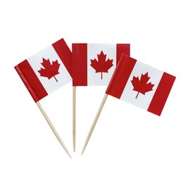 100 Pcs Canada Flag Canadian Toothpick Flags, Small Mini Stick Cupcake Toppers Canadian Flags Cocktail Picks