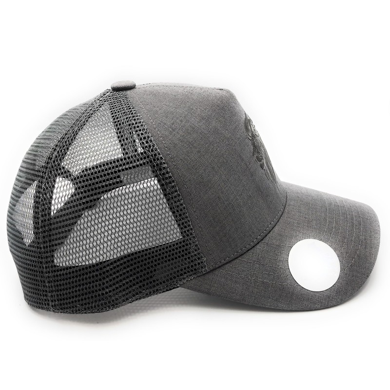 NEO LONDON Lion Trucker Cap, Mesh Snapback, 5 Panel Baseball