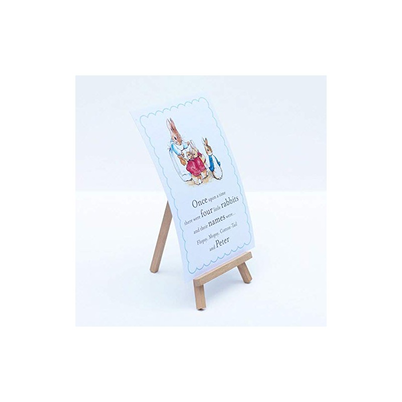 Peter Rabbit A5 'Once upon a time there were Four