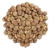 Lentils Green Sprouting Organic - 1 lb,(Frontier)