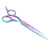 Professional Hair Scissors Barber Hair Cutting Shears Stainless Steel Hairdressing