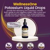 WellnessOne Ionic Potassium Supplement - Potassium Chloride Drops for Fast