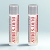 Burt's Bees Ultra Conditioning Lip Balm Kokum Butter, 4.25g, 2 pieces / 버츠비 울트라 컨디셔닝 립 밤 코쿰버터, 4.25g, 2개