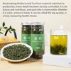 Wanhua Hall Mulberry Leaf Tea Mulberry Tea Loose Leaf 9.17oz/260g