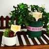 15Pcs Plant Label Plant Herb Tag