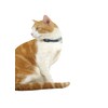 Red Dingo Reflective Cat Collar, One Size Fits All, Dark Blue