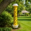 Fly Stick Sticky Fly Traps for Indoors and Outdoor Wasp
