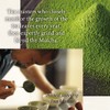 Ceremonial Matcha Green Tea Powder Kimikura Japan-wide Blend [30g/1oz tin]