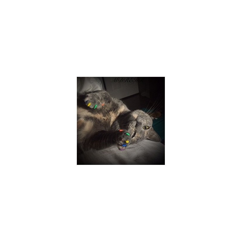 Purrdy Paws Soft Nail Caps for Cat Claws Rainbow Combo