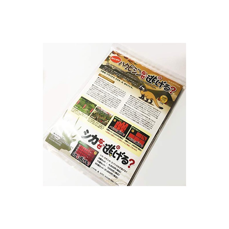 Hakubitin, Raccoon, Why Escape? Set of 10 Outdoors, Civicin, Raccoon,