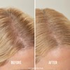 BOLDIFY Enhance Hairline Powder for Roots and Hair Loss:_Hazel Brown_10