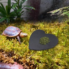 Reptile Basking Platform – 20 × 20 cm Heart-Shaped Natural Rock Feeding Dish | Tortoise Rock Plate, Turtle Bowl, Habitat Decor for Bearded Dragons, Chameleons, Frogs, Lizards & Geckos