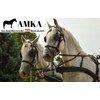 AMKA Leather driving gloves, carriage gloves with reinforcements for the