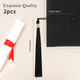 Black 2025 Graduation Tassels - 2 Pcs Tassel Charm for Graduation Cap