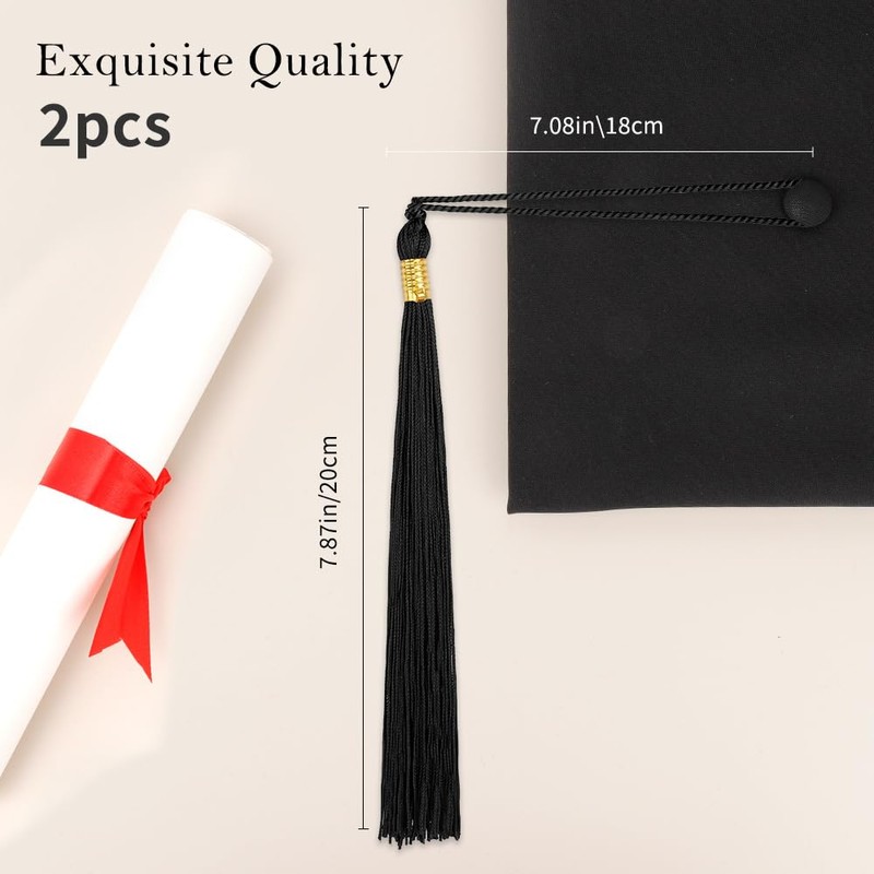 Black 2025 Graduation Tassels - 2 Pcs Tassel Charm for