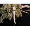 Fly Style Fake Taper Expander Earring Made of Horn, Bone