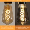 Decoaui E26 ST64 Vintage Edison Light Bulbs, Smoky Grey Coated