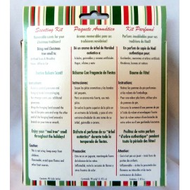 Winter Woods Holiday Scenting Kit Pine Cone Ornaments to Scent Your Tree & Home