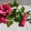 ACME Dog Whistle No. 210.5 with Instructions (English language not
