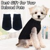Dog Sweaters 2-Pack Australia - Warm Knitted Turtleneck Jumpers for