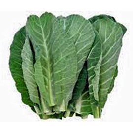 Collard Greens Seeds, Georgia Southern, Heirloom 100+ Seeds, Non GMO