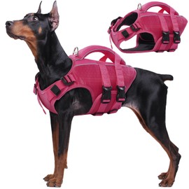 Kuoser Dog Life Jacket High Flotation, Reflective Dog Life Vest for Swimming Boating, Adjustable Small Medium Large Dog lifejacket, Lightweight Dog Life Preserver Rescue Handle Spring Summer Pool
