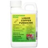 Southern Ag 02901 Liquid Copper Fungicide, 8oz