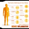 Reduce Inflamation® Suplemento Para Desinflamar Con Cúrcuma, 120 cápsulas Sin