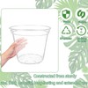 PEDOBALI 12 Pcs 8/10/12 Inch Large Size Clear Nursery Pots