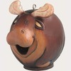 Songbird Essentials SE3880089 Moose Gord-O Birdhouse (Set of 1)