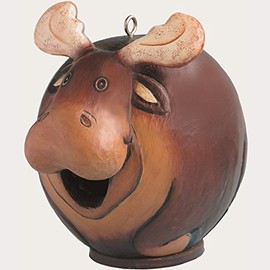 Songbird Essentials SE3880089 Moose Gord-O Birdhouse (Set of 1)