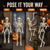 2 Pcs Posable Halloween Skeleton for Spooky Decorating – 15.7-Inch