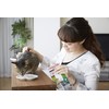 Inaba Usa504 Ciao Grilled Cat Treat With Added Vitamin E,
