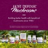 Host Defense Turkey Tail Capsules - Digestive Health & Immune