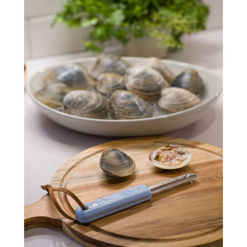 Jetsam Eco-Friendly Clam Knife