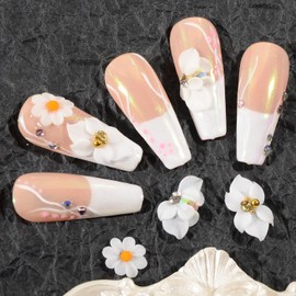 Katfan 6Pcs 3D Flower Nail Art Charms Handmade Acrylic Flower Decals Nail Rhinestones Crystal Nail Supplies for Women Girls DIY Decorations Craft