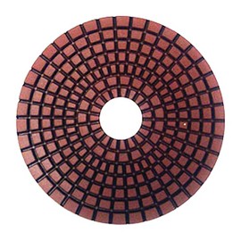 Slayer 4" Wet Premium Polishing Pads - 800 Grit