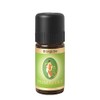 PRIMAVERA Ätherisches Öl Orange bio 10 ml - Aromaöl, Duftöl,
