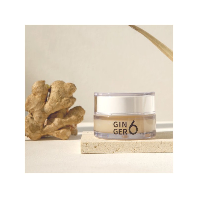 진저6 비건 액티브 워터 수분 크림 50ml Ginger6 Vegan Active