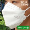 KN95 Mask, High Performance Mask, 4 Layers, 3D Mask, Individually