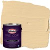 Glidden Exterior Paint + Primer: Beige/Spice is Nice, One Coat,