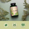 Mugwort Capsules High Dose | 600 mg Extract (10:1) -