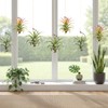 Xelsluthe 12 Pcs Air Plants Live Holders with Jute Ropes,