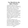 St. Jude Store La Sombra de San Pedro A -