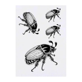 4 x 'Cockchafer Beetle' Temporary Tattoos - Water Resistant, Skin-Safe, Non-Toxic Transfers, Mixed Sizes (TO00085184)