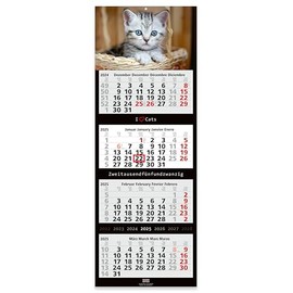 Geiger-Office 4 Month Wall Calendar 2025 Cats Large Format 33 x 90 cm with Attractive Cat Picture Motif