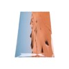 Aquarium Poster PVC Self Adhesive Waterproof 3D Desert Style Fish