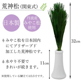 A&K Kojinmatsu Kanto Style Preserved (M Size/1 Bundle/Height 32 cm), Made in Japan, Made in Tanba, Made in Japan, Made in Japan, Made in Japan, Made in Japan, Made in Japan, Kamijinmatsu